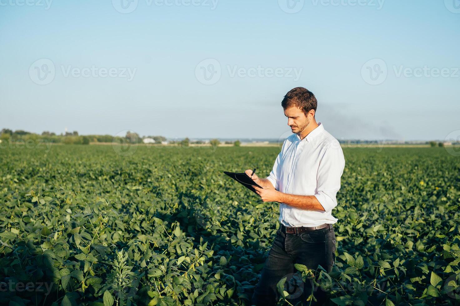 agronome détient tablette toucher tampon ordinateur dans le soja champ et examiner cultures avant récolte. secteur agroalimentaire concept. agricole ingénieur permanent dans une soja champ avec une tablette dans été. photo