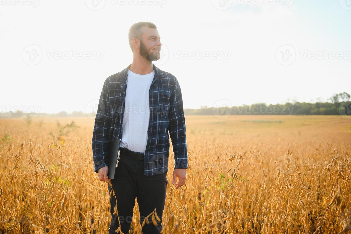 armer inspecte soja avant récolte. le concept de agricole industrie photo