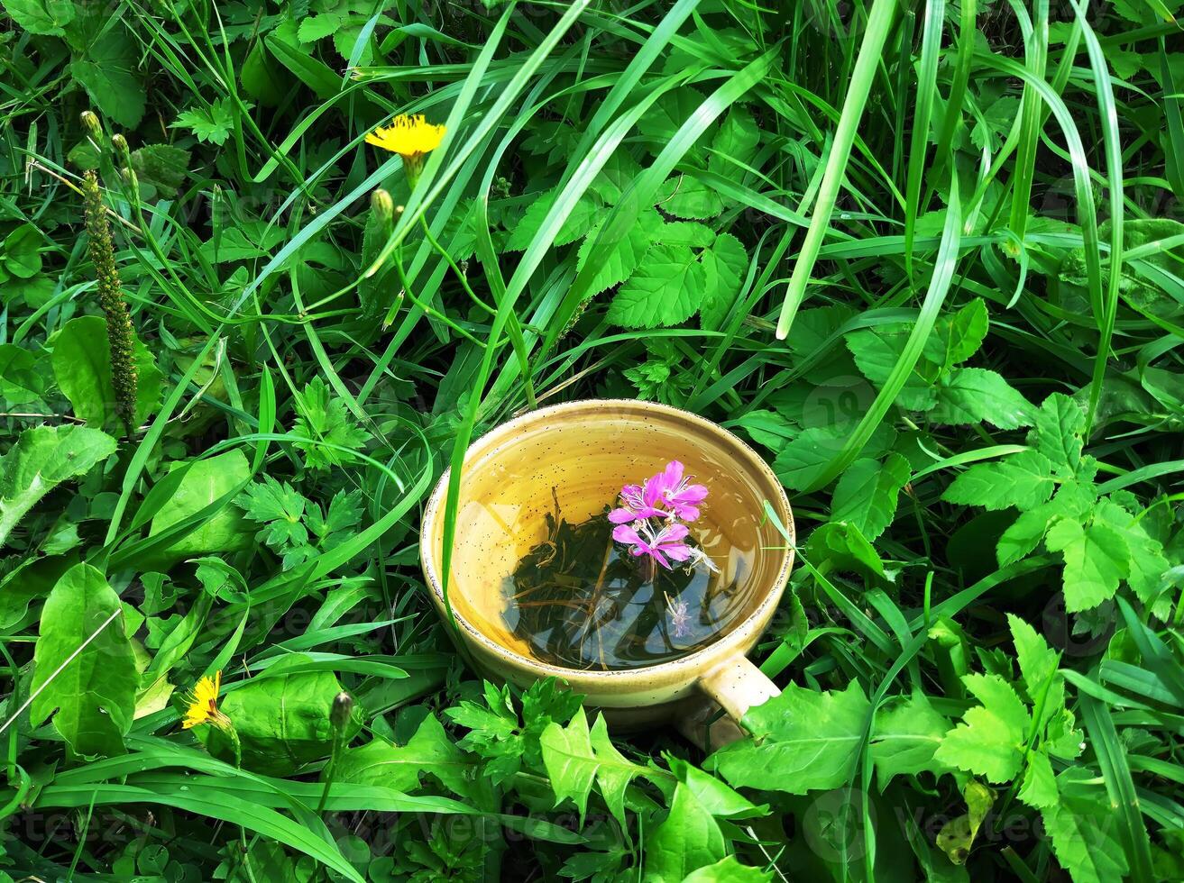 en bonne santé à base de plantes thé avec médical herbes. photo