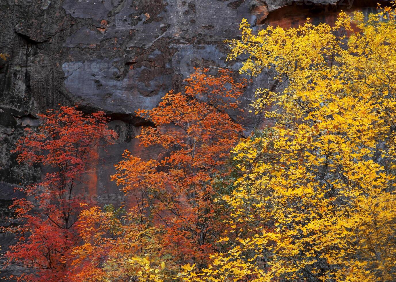 Sion l'automne couleurs photo