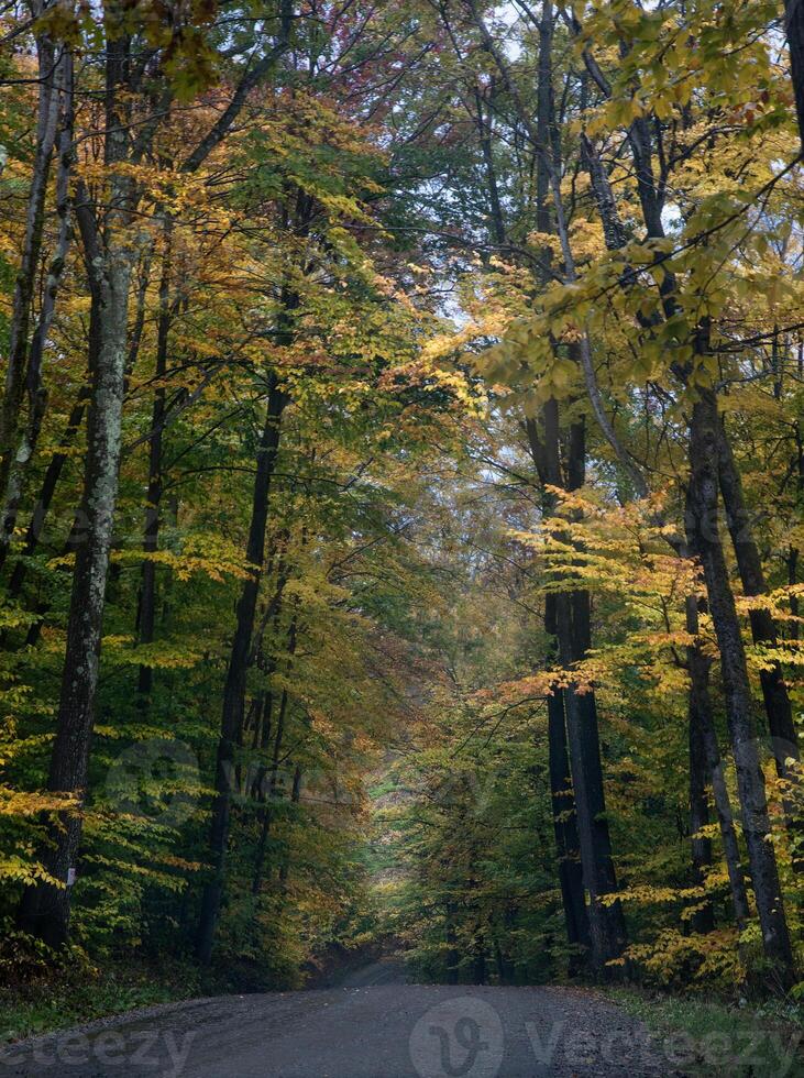 couleurs d'automne du Vermont photo