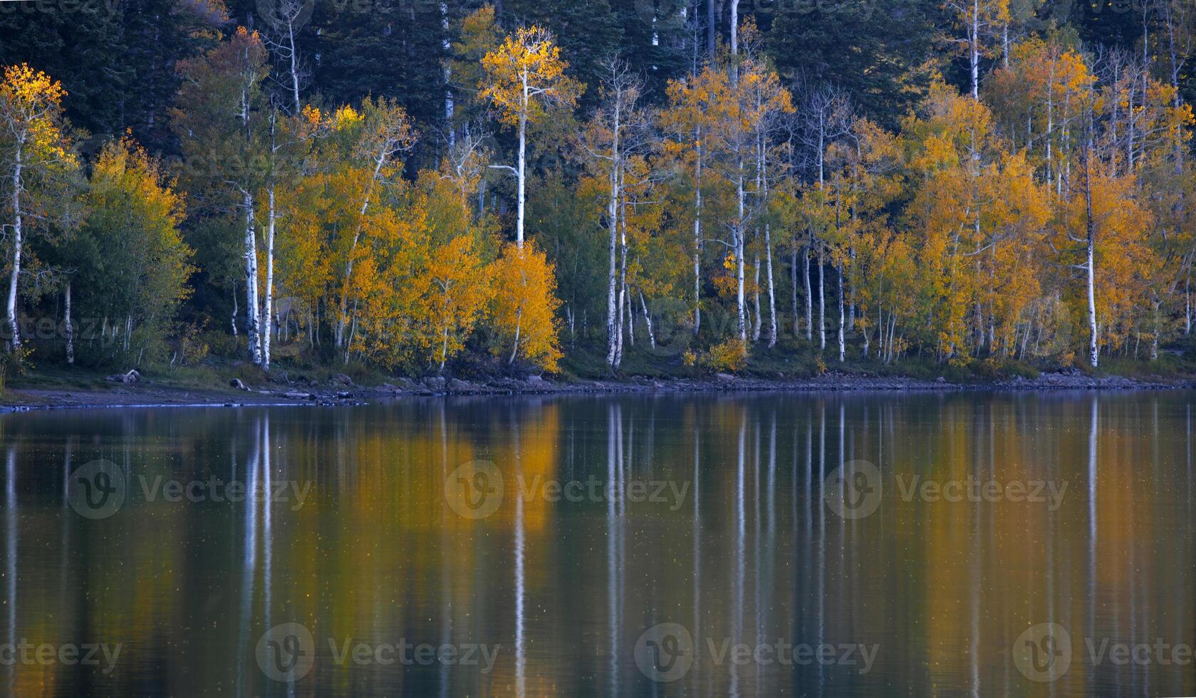 kolob l'automne couleurs photo