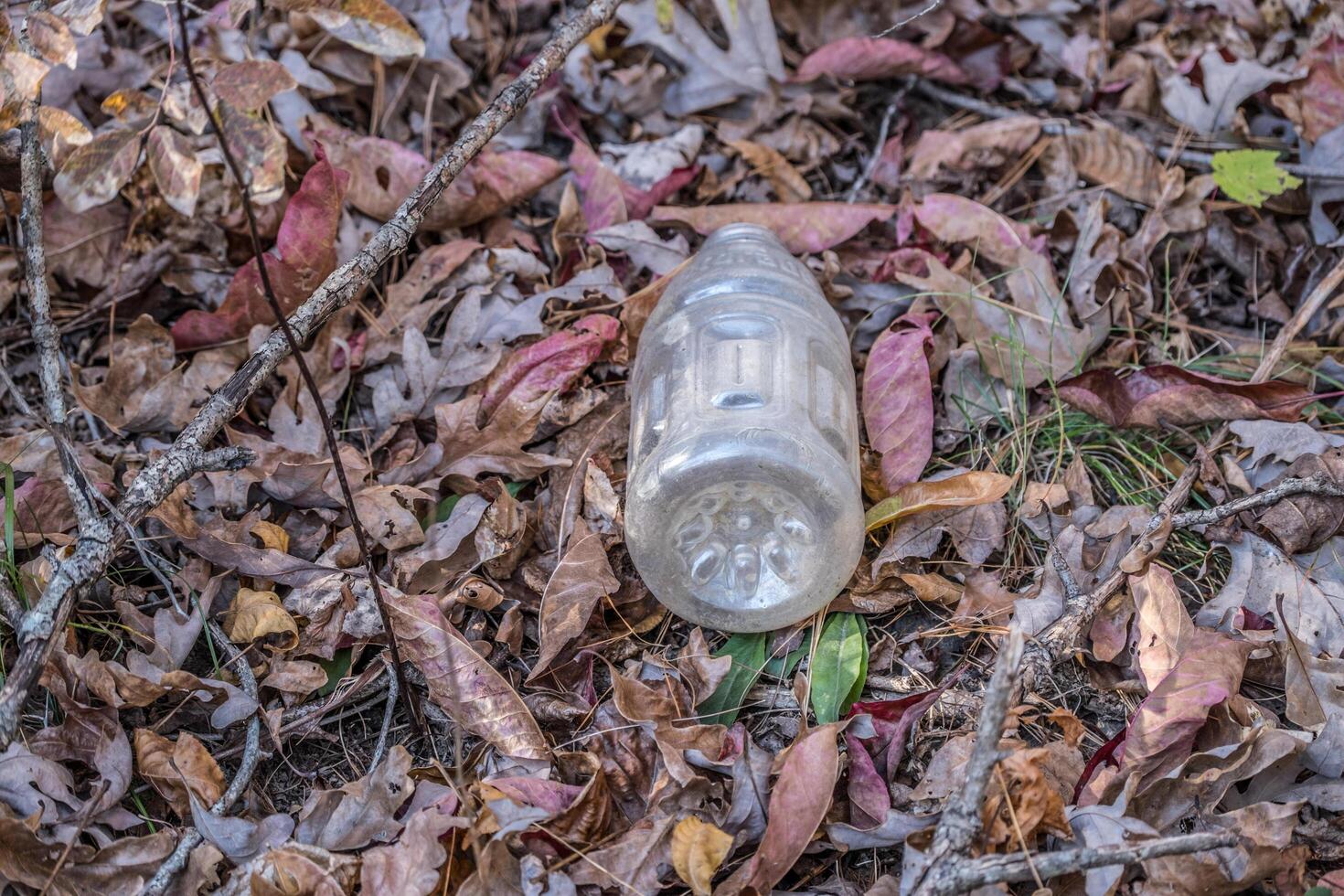 Plastique boisson bouteille sur le sol photo