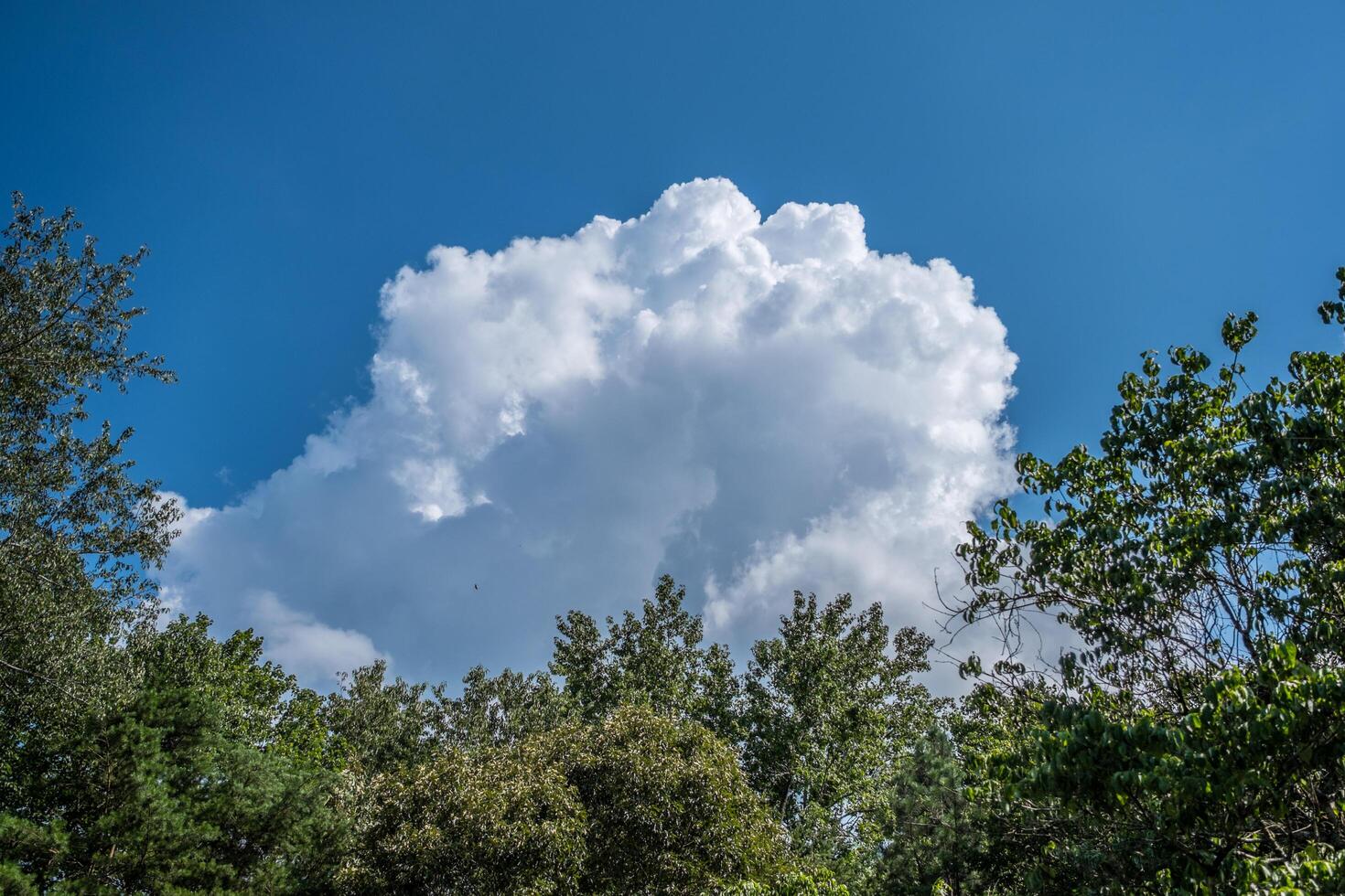 grand blanc nuage contre une bleu ciel photo