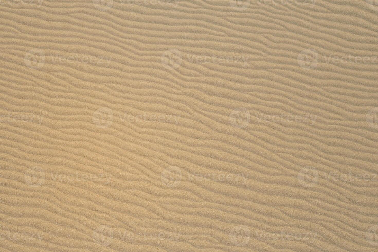 horizon havre aérien sérénité capture magnifique plage le sable de au-dessus de, une tranquille tapisserie de côtier beauté photo