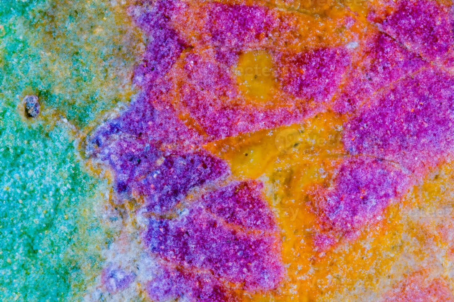 explorant le délicat beauté de magnifique macro pastel calcul, une sublime périple par subtil tons et textures photo