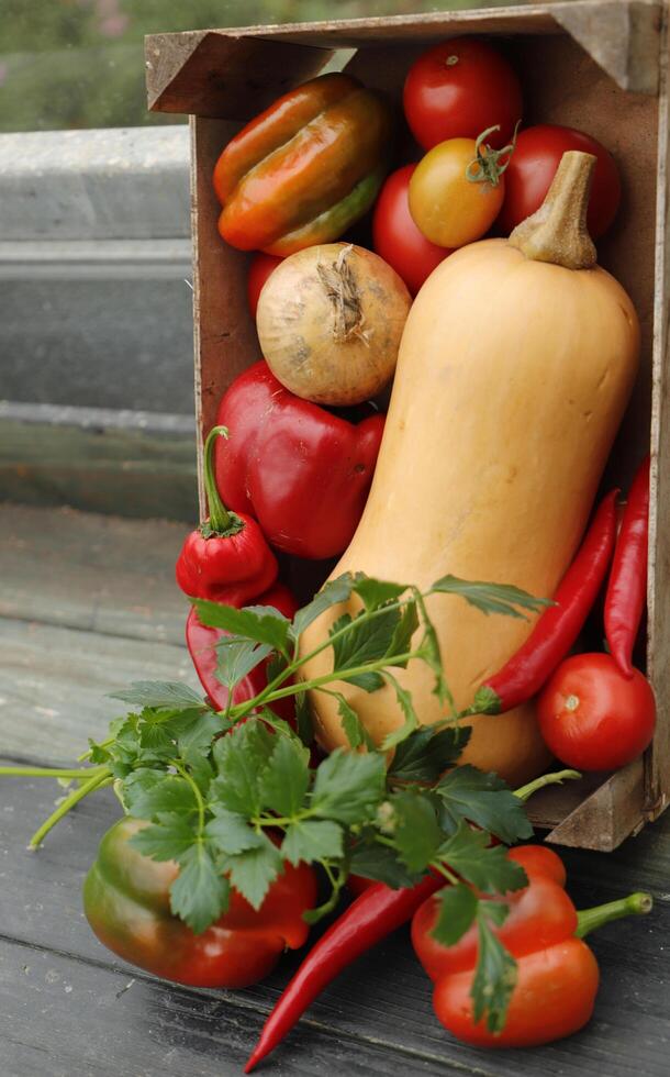 Frais des légumes choisi Frais de le jardin. une boîte de Frais des légumes photo