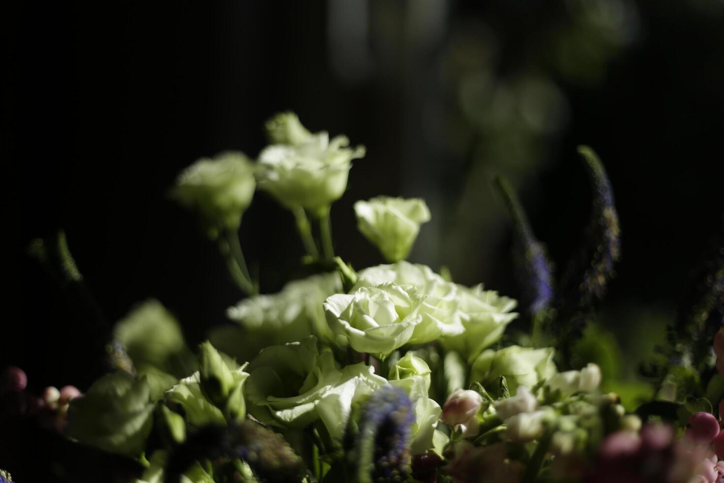 bouquet blanc fleurs dans le lumière du soleil avec foncé Contexte photo