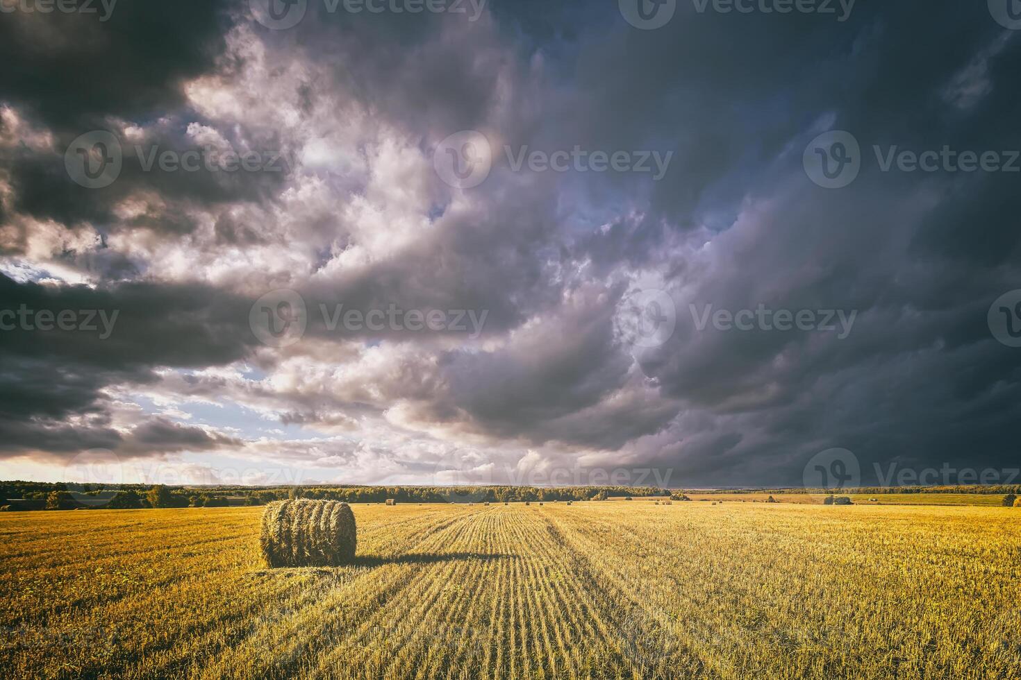 une champ de une meules de foin sur un l'automne jour, illuminé par lumière du soleil, avec pluie des nuages dans le ciel. ancien film esthétique. photo