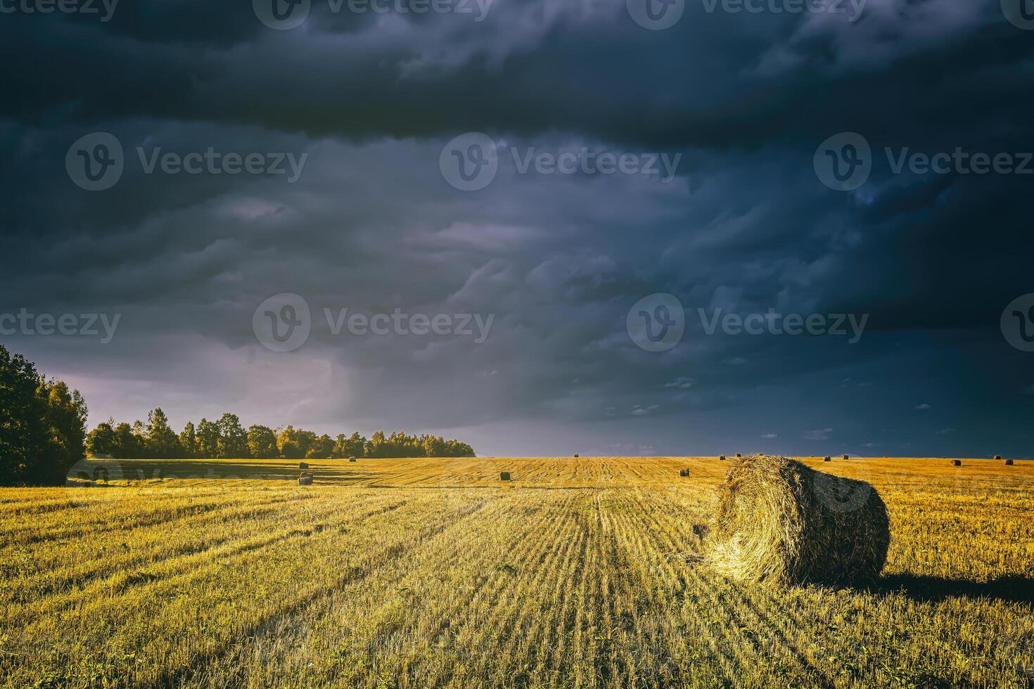 une champ de une meules de foin sur un l'automne jour, illuminé par lumière du soleil, avec pluie des nuages dans le ciel. ancien film esthétique. photo