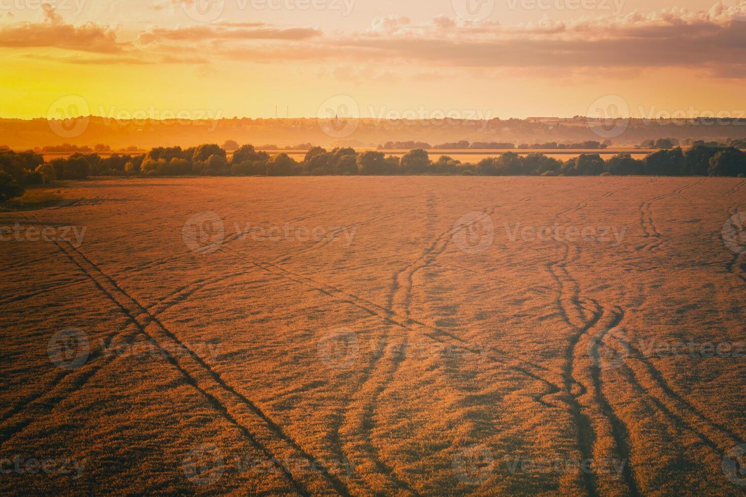 Haut vue de une le coucher du soleil ou lever du soleil dans un agricole champ avec oreilles de Jeune d'or seigle. ancien film esthétique. photo