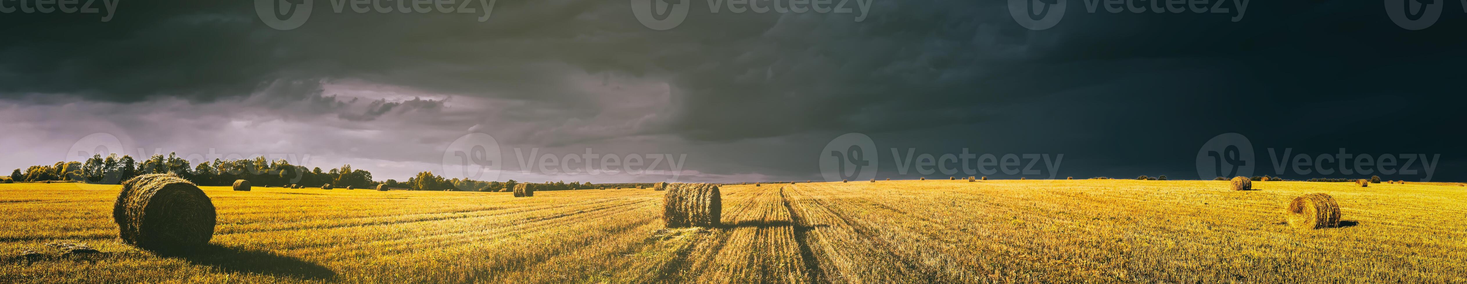 une champ de une meules de foin sur un l'automne jour, illuminé par lumière du soleil, avec pluie des nuages dans le ciel. ancien film esthétique. panorama. photo