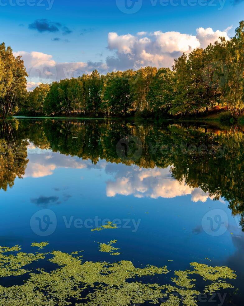 le coucher du soleil ou Aube sur une étang avec bouleau des arbres le long de le banques et une nuageux ciel réfléchi dans le l'eau. photo