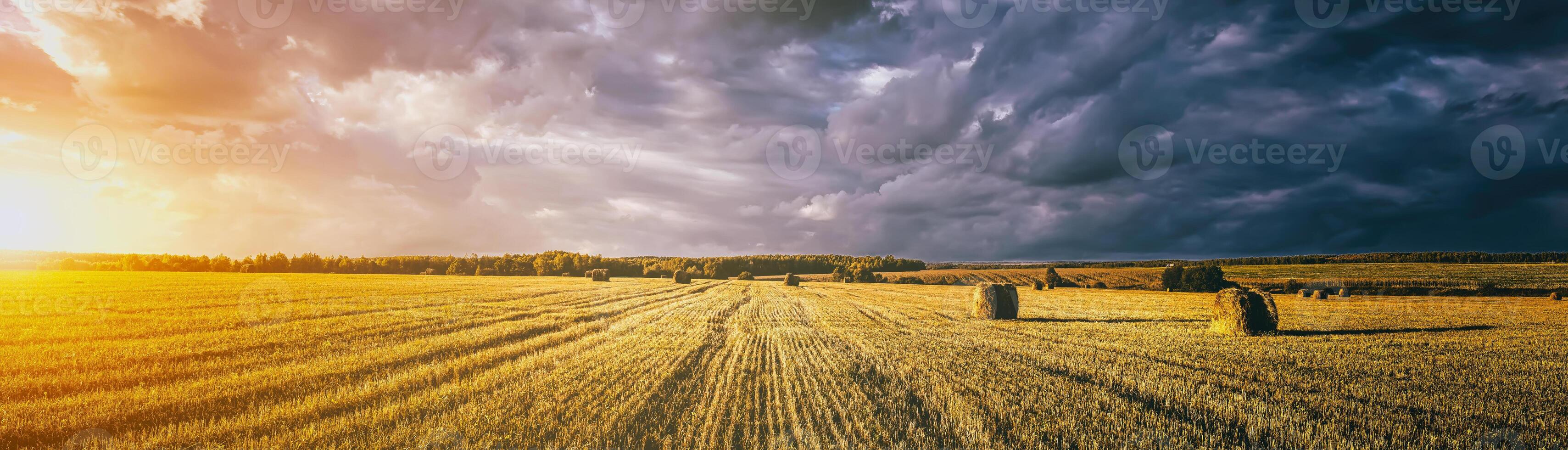 une champ de une meules de foin sur un l'automne jour, illuminé par lumière du soleil, avec pluie des nuages dans le ciel. ancien film esthétique. panorama. photo