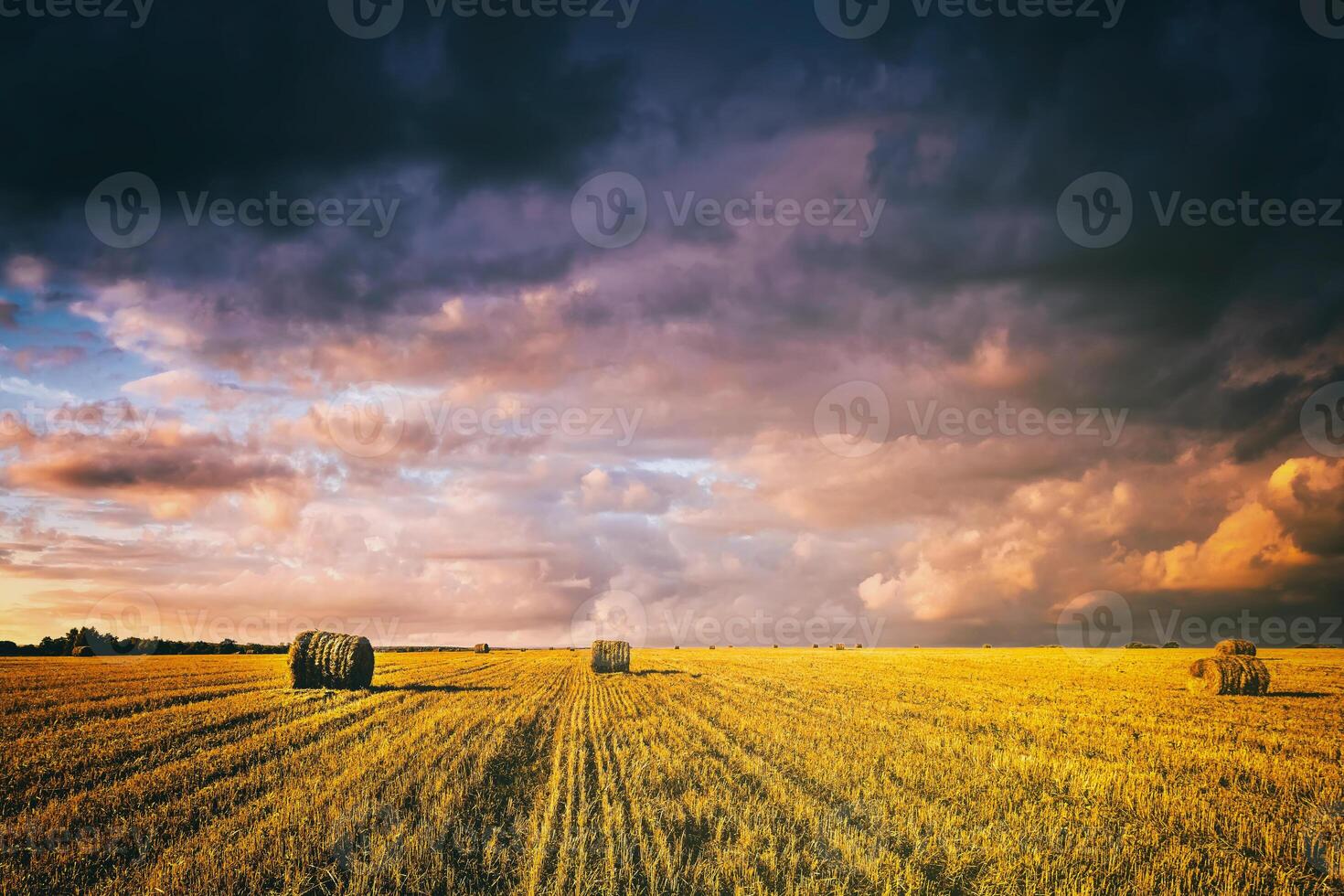 une champ de une meules de foin sur un l'automne jour, illuminé par lumière du soleil, avec pluie des nuages dans le ciel. ancien film esthétique. photo