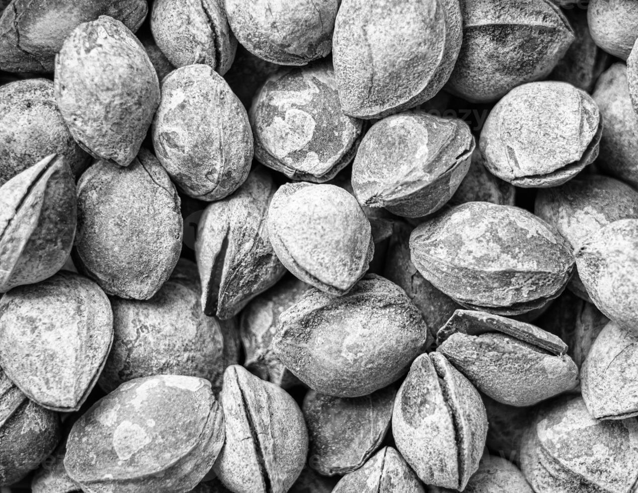 noir et blanc texture de une pile de abricot graines dans le coquille. Contexte de en bonne santé plante végétalien aliments. des noisettes. photo