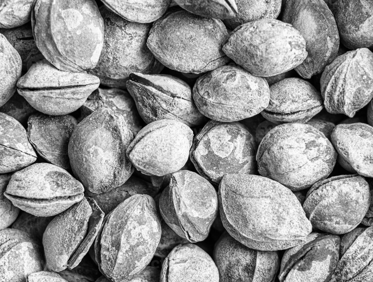 noir et blanc texture de une pile de abricot graines dans le coquille. Contexte de en bonne santé plante végétalien aliments. des noisettes. photo