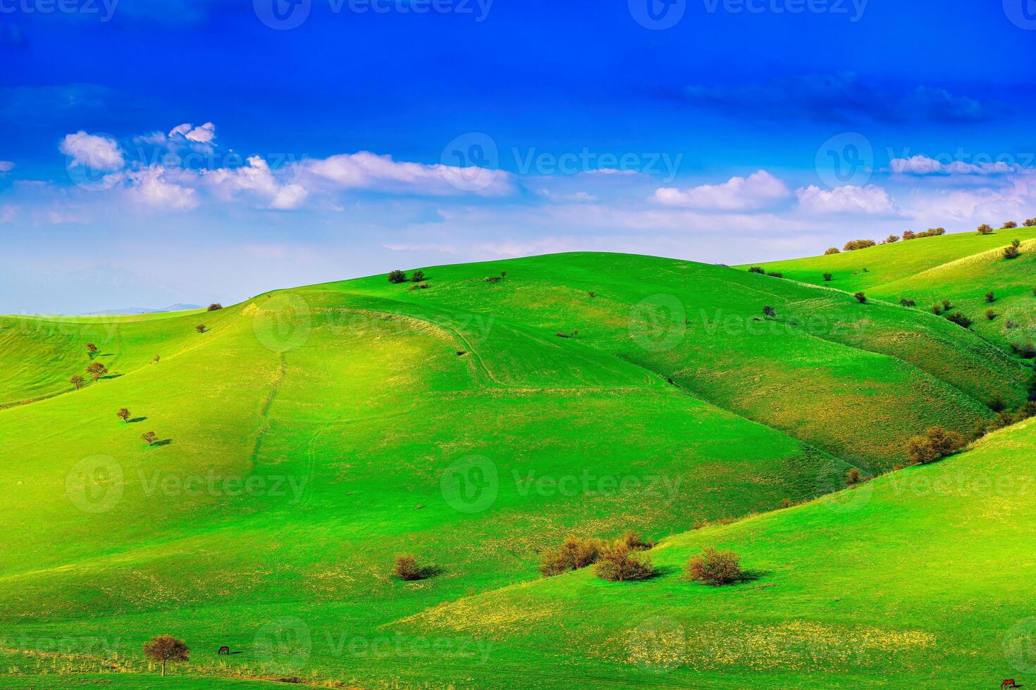 collines et montagnes couvert avec Jeune vert herbe et illuminé par le Soleil sur une ensoleillé journée. photo