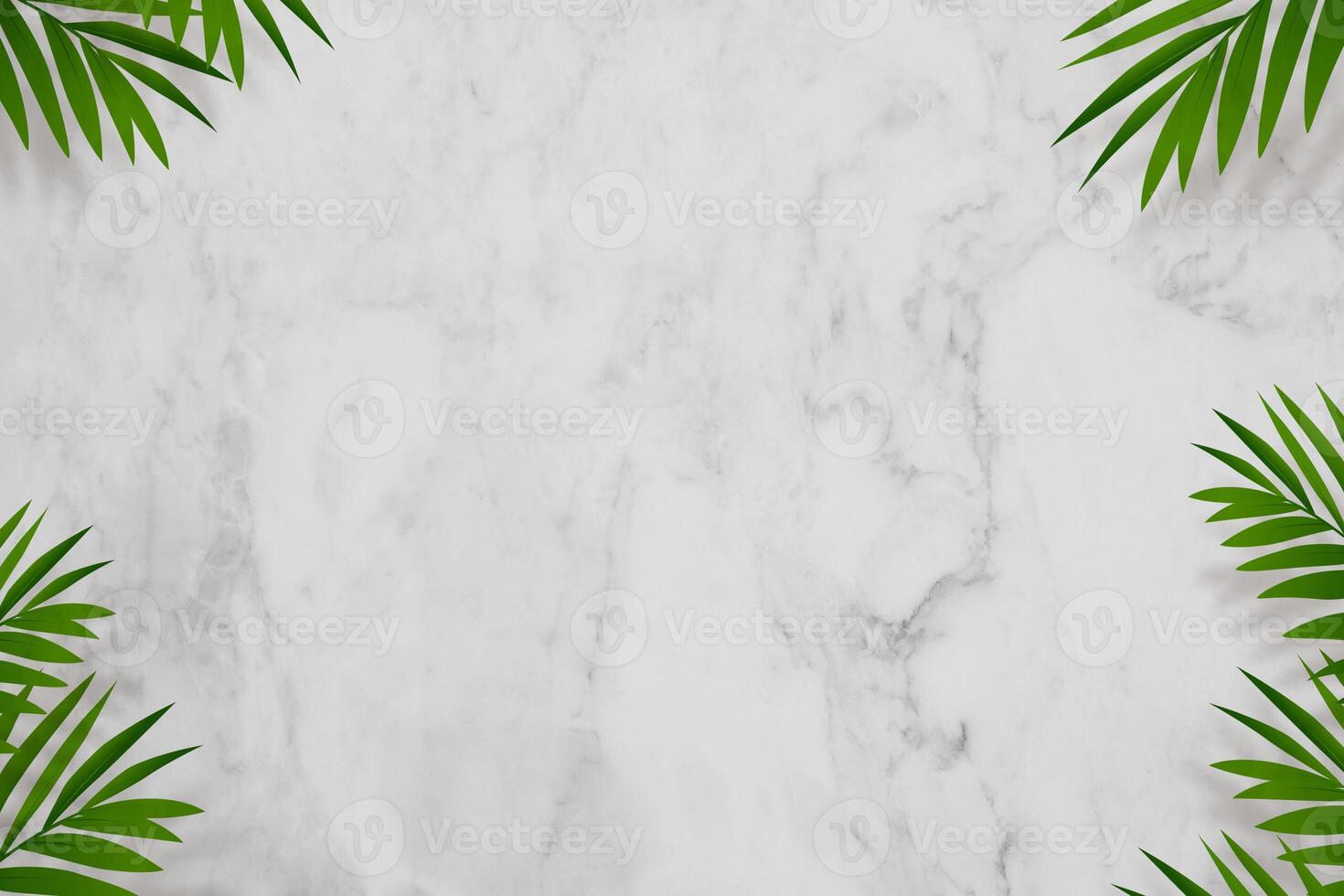 marbre arrière-plan, paume feuilles et ombre frontière Cadre avec copie espace pour vacances d'été bannière, vide Blanc gris la nature granit texture ou céramique compteur noix de coco feuille pour produit présent photo