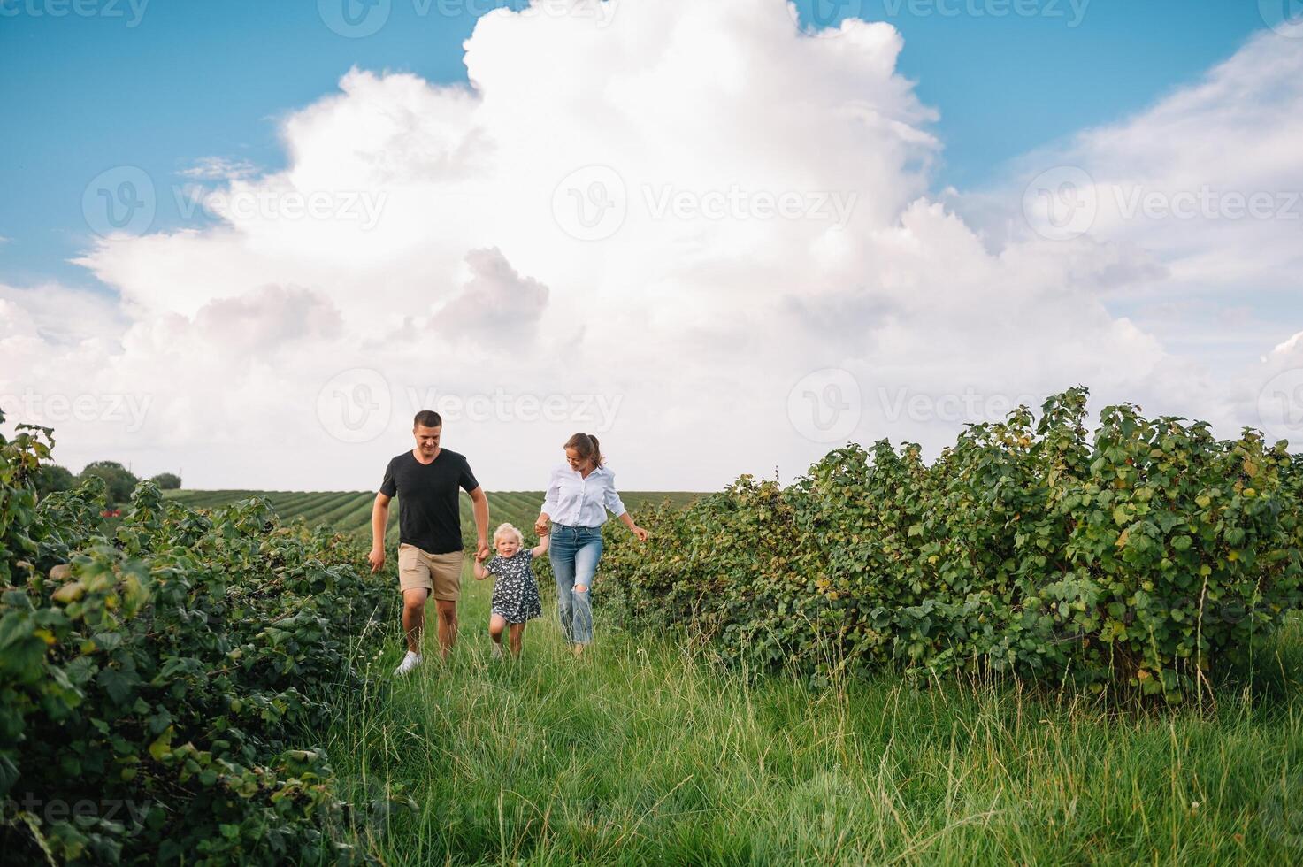 content famille en marchant dans le parc. maman, papa et fille marcher en plein air, Parents en portant le bébé les filles mains. enfance, la parentalité, famille obligations, mariage concept. photo