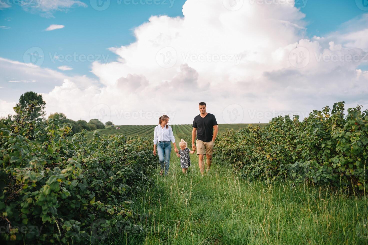 content famille en marchant dans le parc. maman, papa et fille marcher en plein air, Parents en portant le bébé les filles mains. enfance, la parentalité, famille obligations, mariage concept. photo