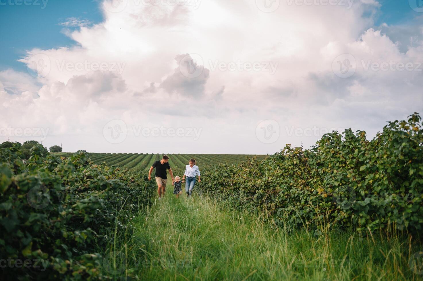 content famille en marchant dans le parc. maman, papa et fille marcher en plein air, Parents en portant le bébé les filles mains. enfance, la parentalité, famille obligations, mariage concept. photo