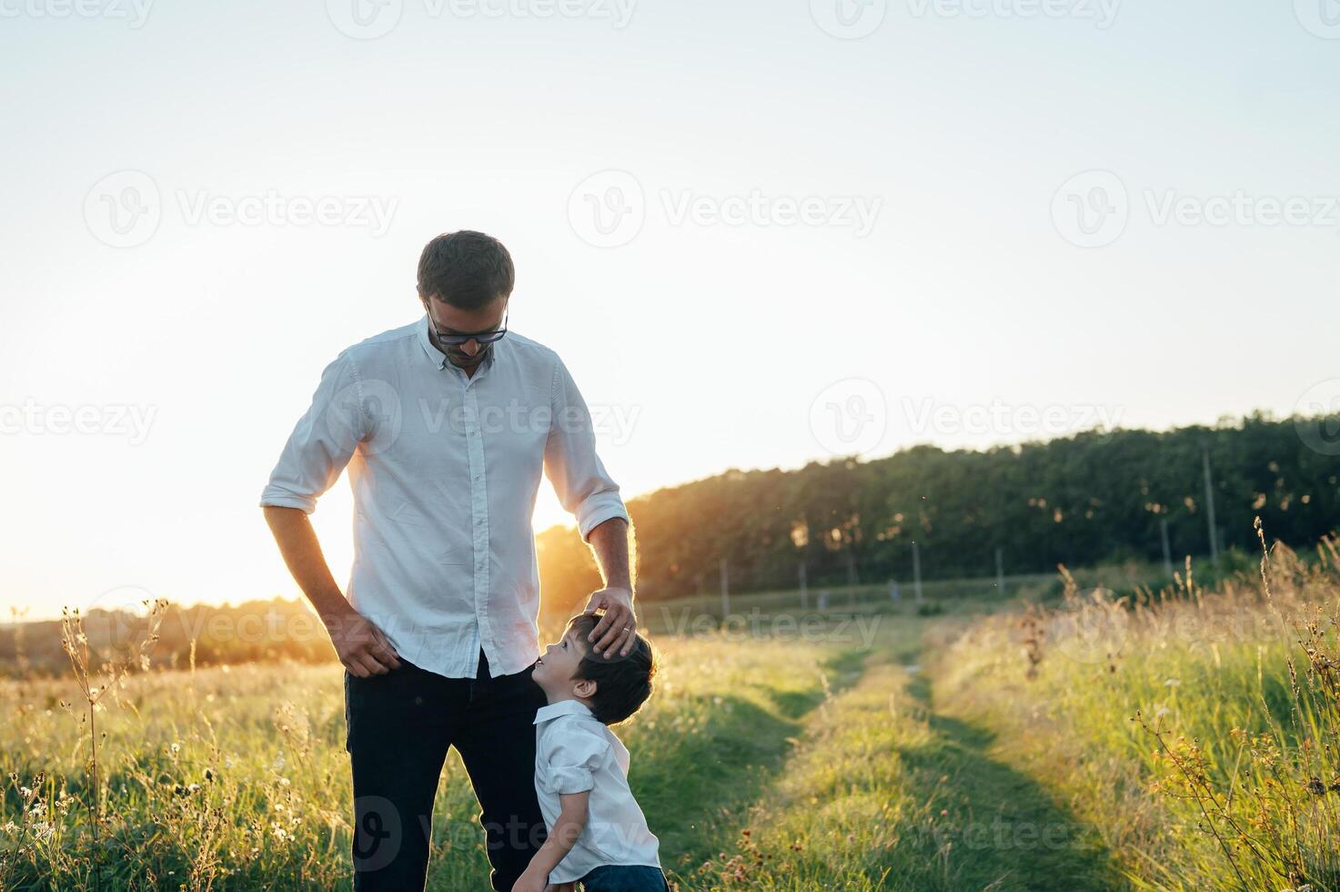 Beau papa avec le sien peu mignonne fils sont ayant amusement et en jouant sur vert herbeux pelouse. content famille concept. beauté la nature scène avec famille Extérieur mode de vie. famille repos ensemble. les pères journée. photo