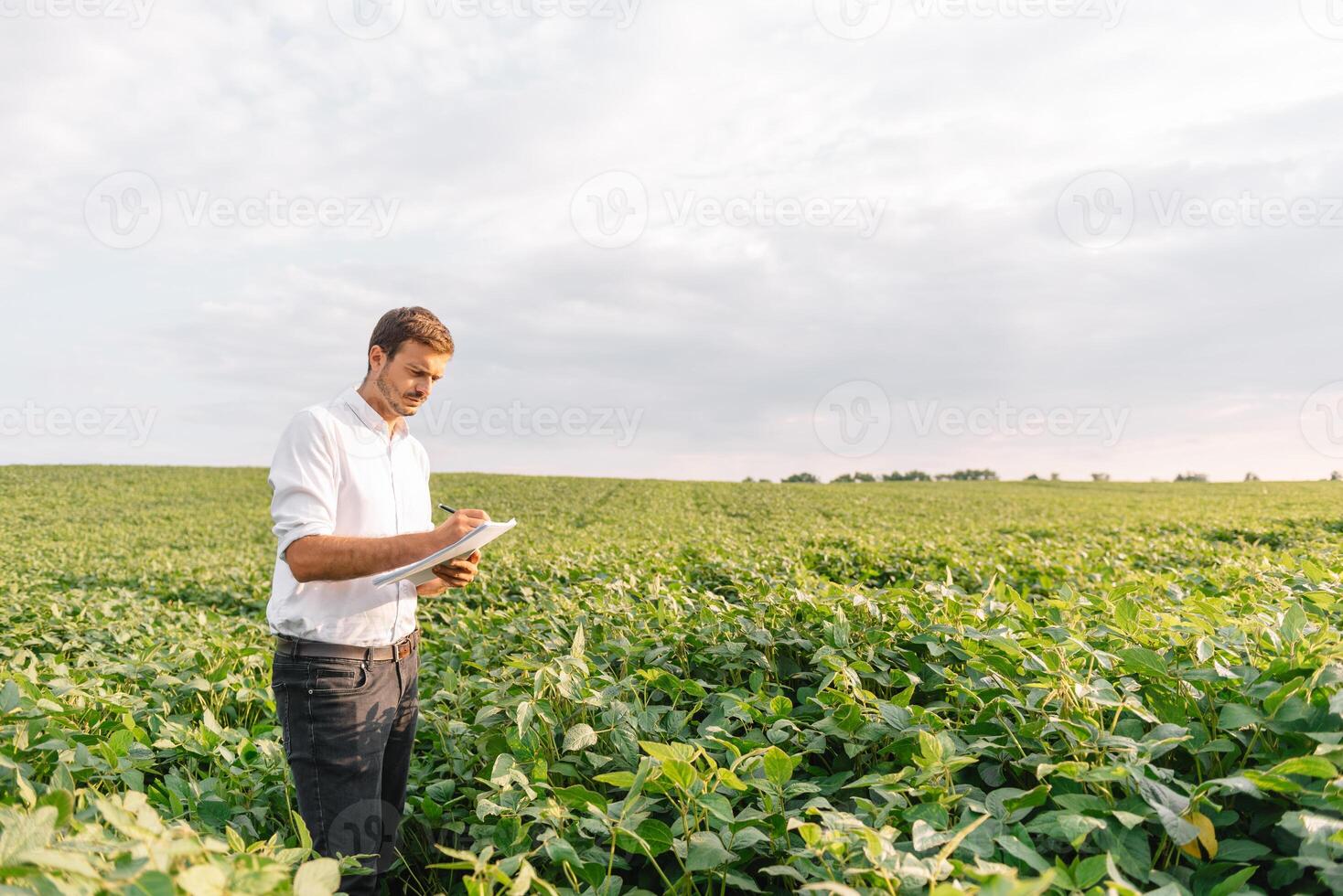 Jeune agriculteur dans déposé examiner soja corp. il est les pouces en haut. photo