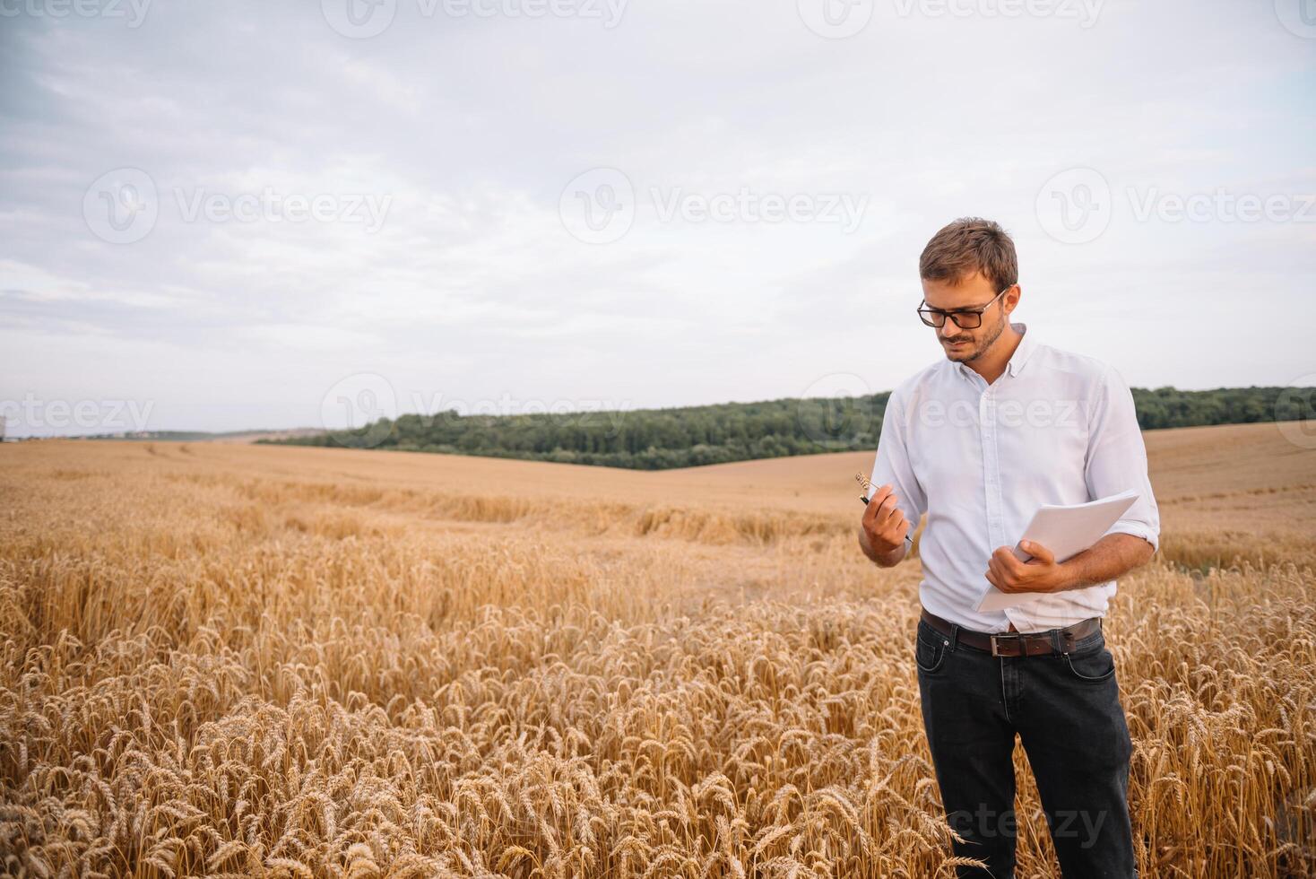 Contexte avec fissuré sol et soja champ. sécheresse dans agriculture. Haut vue de sécheresse dans soja champ avec fissuré sol photo