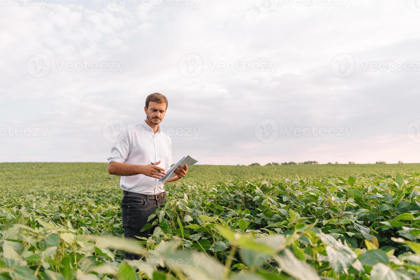 Jeune agriculteur dans déposé examiner soja corp. il est les pouces en haut. photo