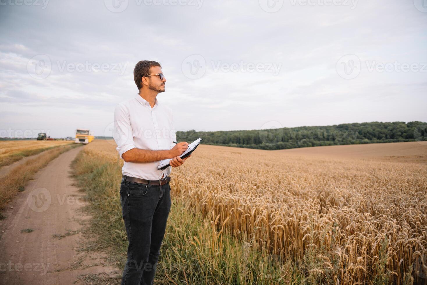 Contexte avec fissuré sol et soja champ. sécheresse dans agriculture. Haut vue de sécheresse dans soja champ avec fissuré sol photo