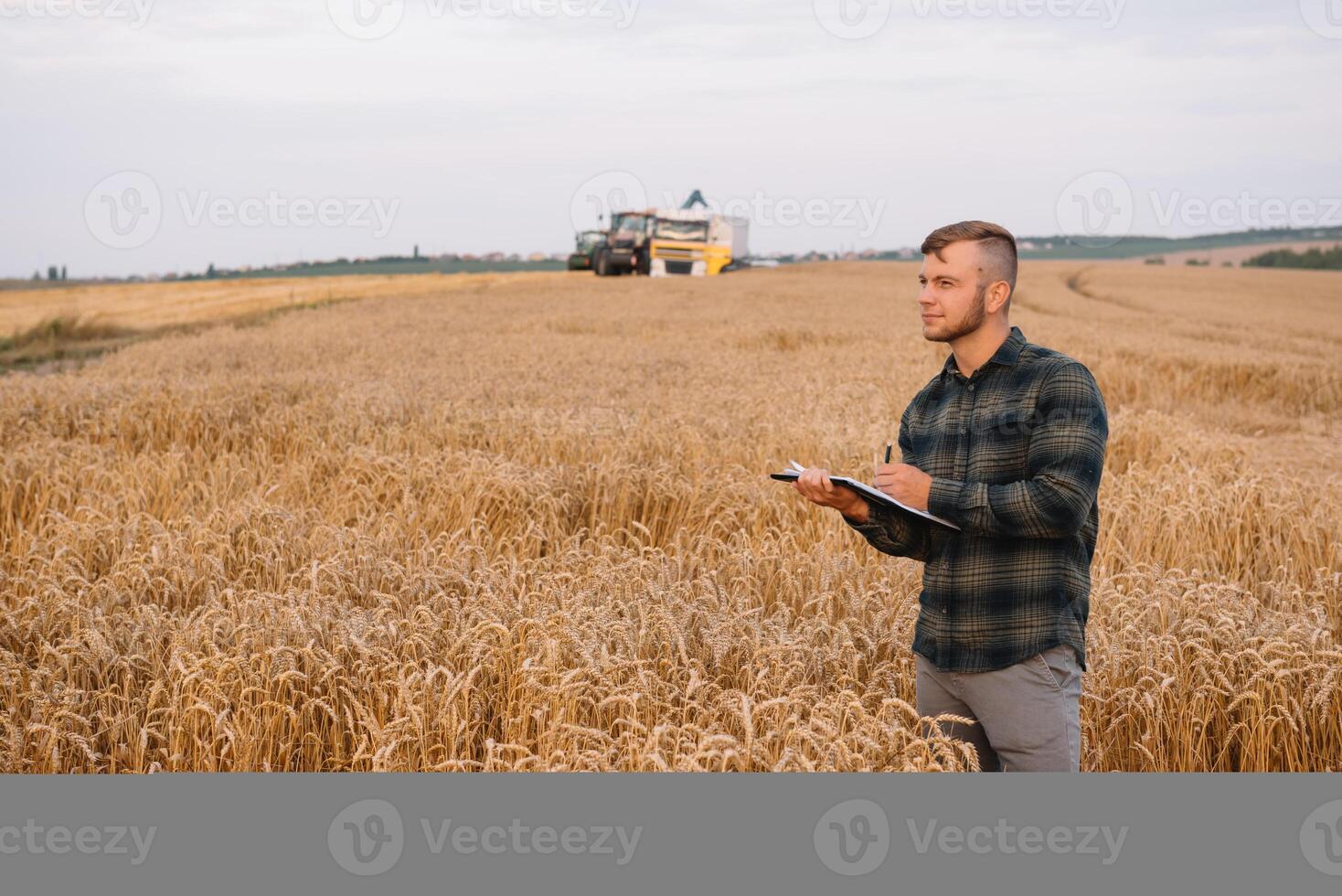 Contexte avec fissuré sol et soja champ. sécheresse dans agriculture. Haut vue de sécheresse dans soja champ avec fissuré sol photo