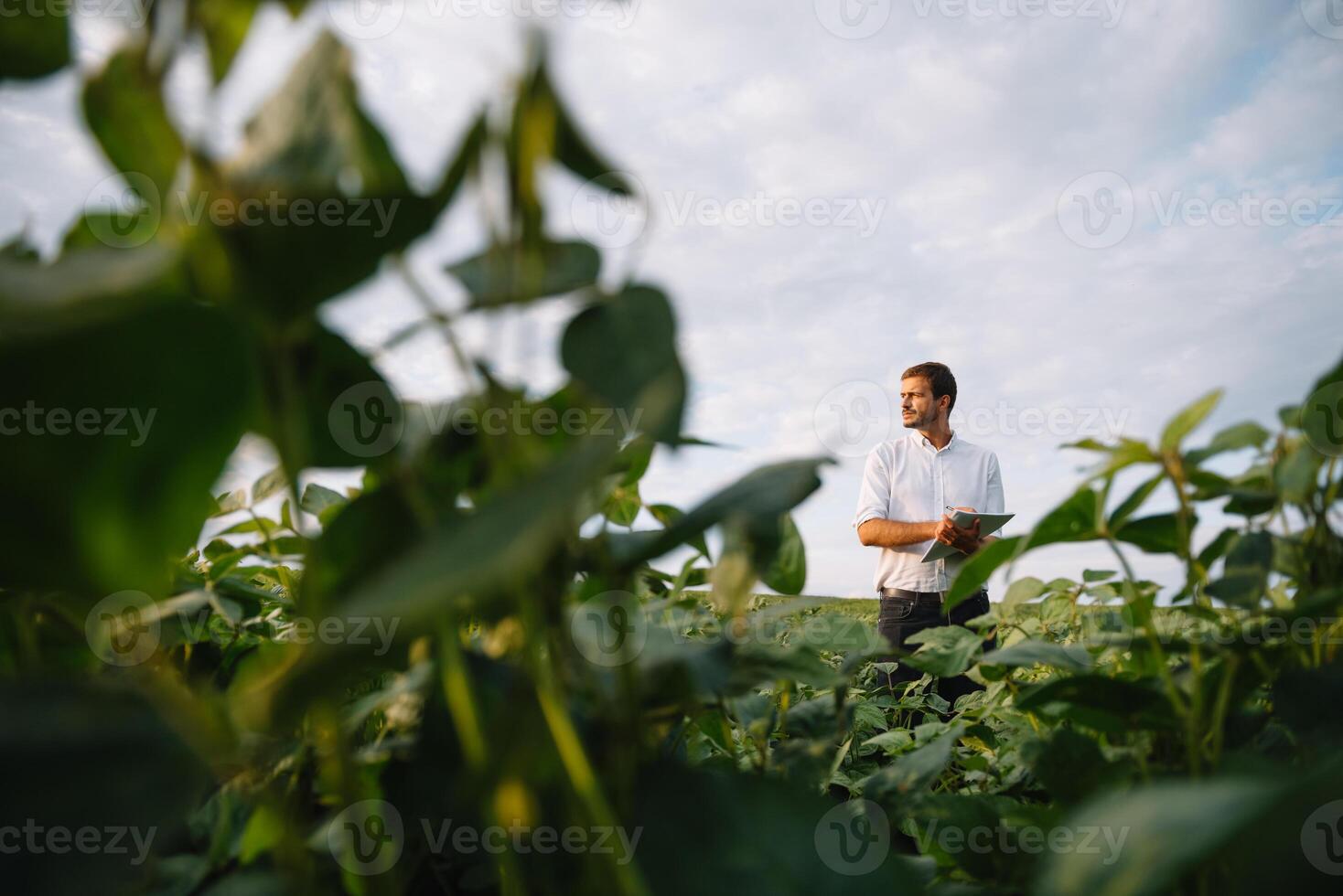 Jeune agriculteur dans déposé examiner soja corp. il est les pouces en haut photo