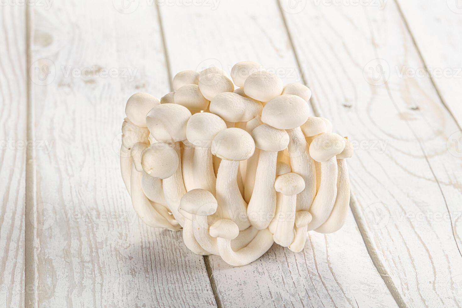 Japonais Shimeji champignon pour cuisine photo