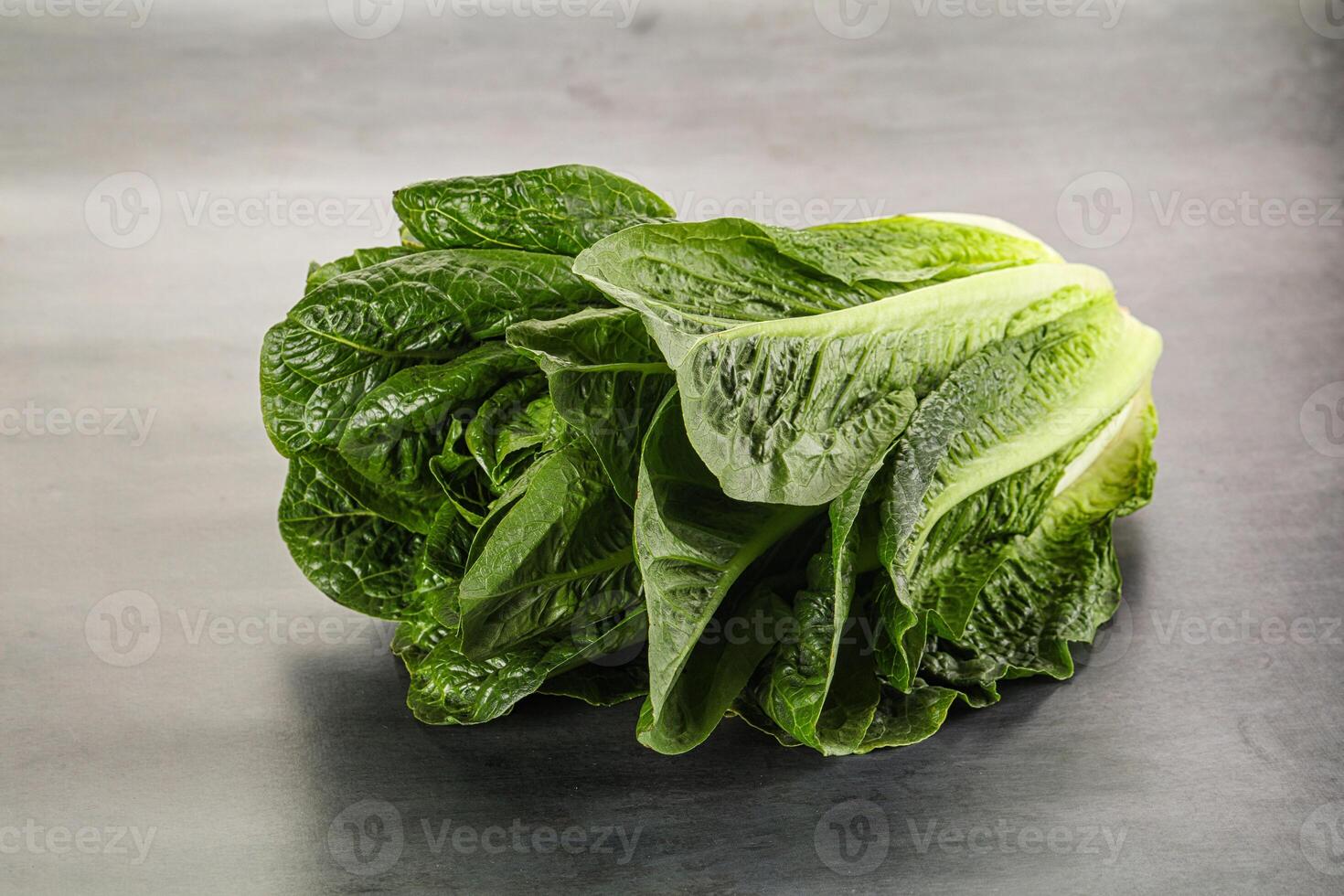 vert Frais juteux romano salade photo