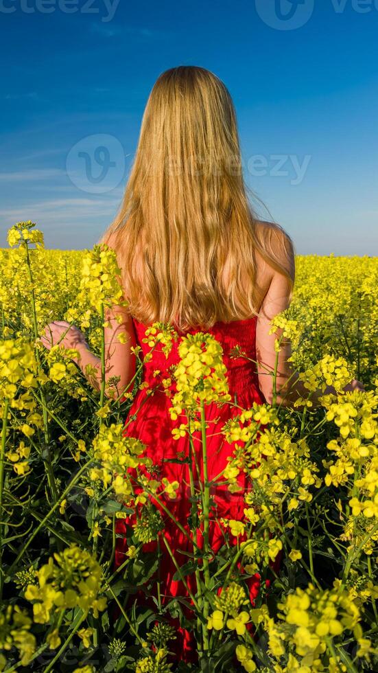 caucasien femme dans rouge robe dans scénique Jaune colza champ photo