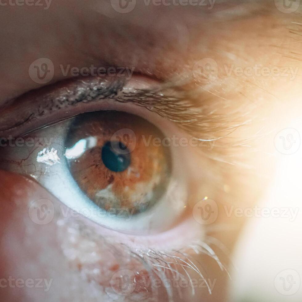 homme œil à la recherche à caméra, marron œil photo