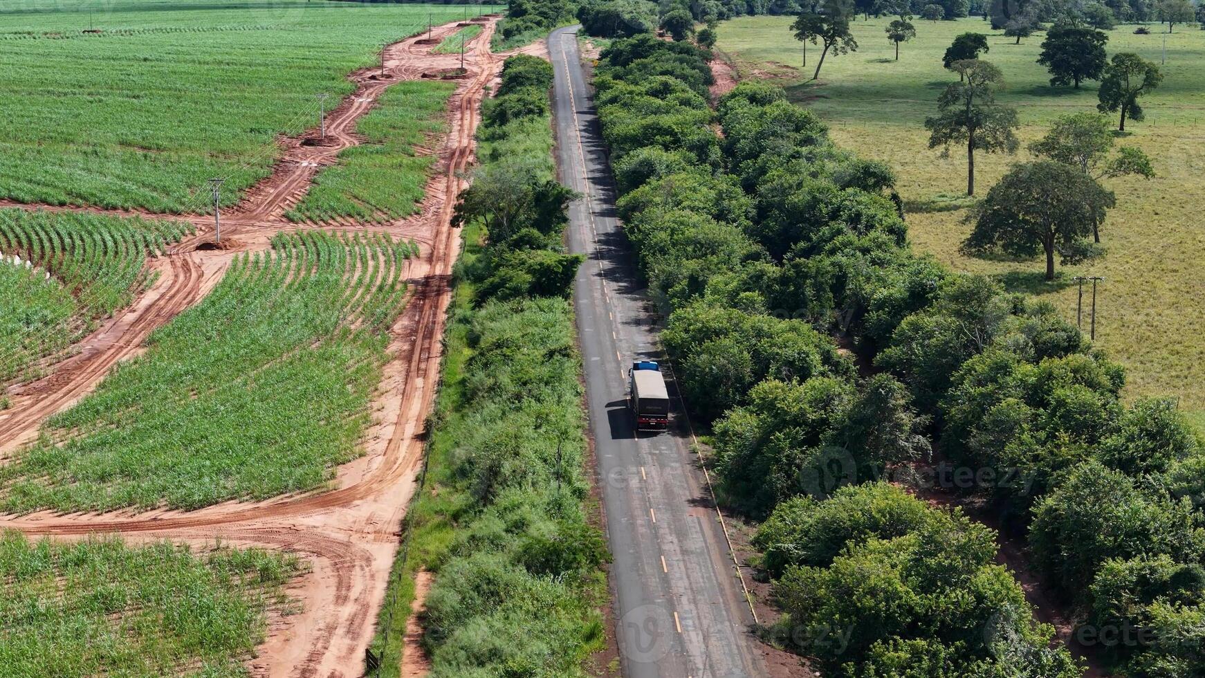 un camion sur Autoroute suivant à plantation photo