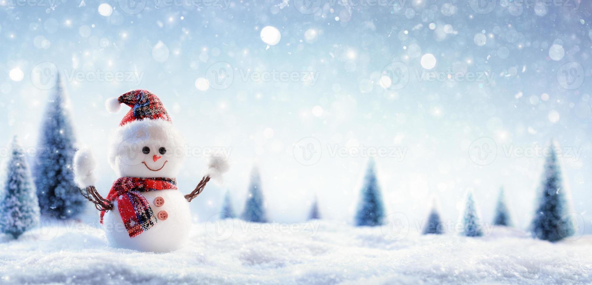 bonhomme de neige dans le paysage hivernal photo