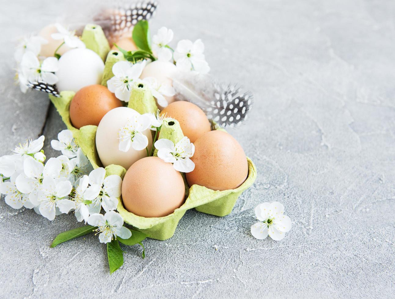 oeufs en plateau photo