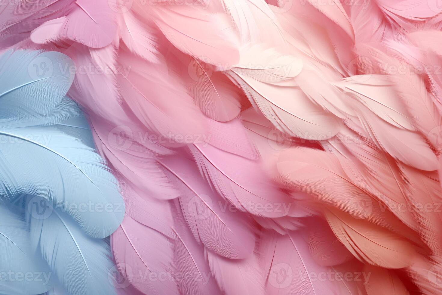 pastel plumes arrière-plan, pastel Couleur plume abstrait Contexte texture, pastel plumes fond d'écran, pastel oiseau plumes modèle, photo