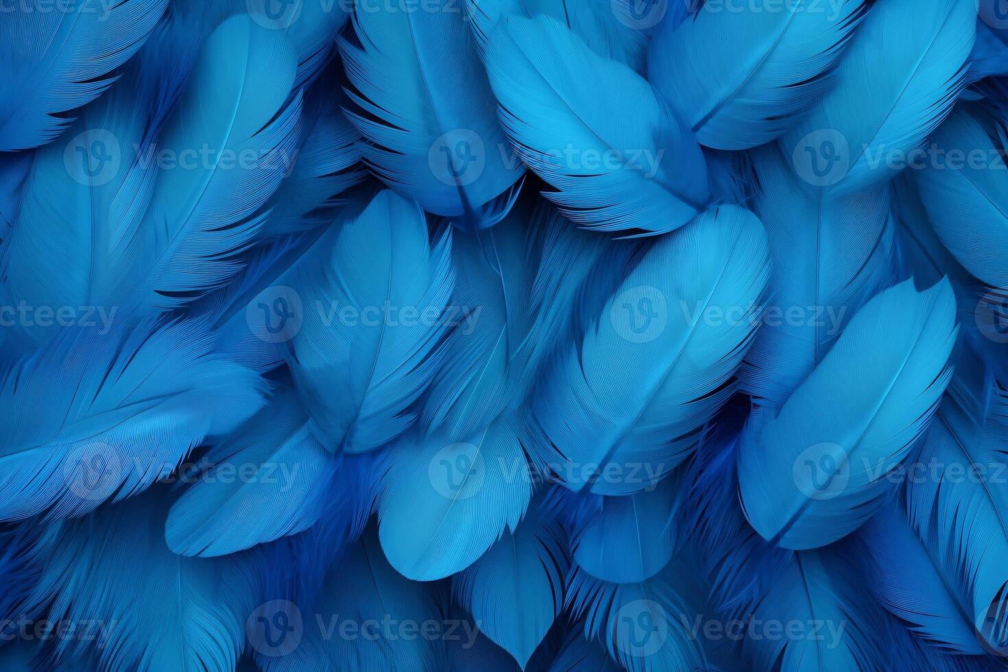 bleu plumes arrière-plan, bleu plumes modèle, plumes arrière-plan, plumes fond d'écran, oiseau plumes modèle, photo