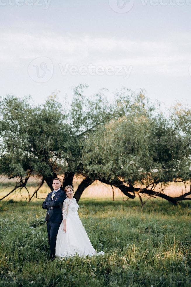 le marié et la mariée marchent dans la forêt près d'une rivière étroite photo