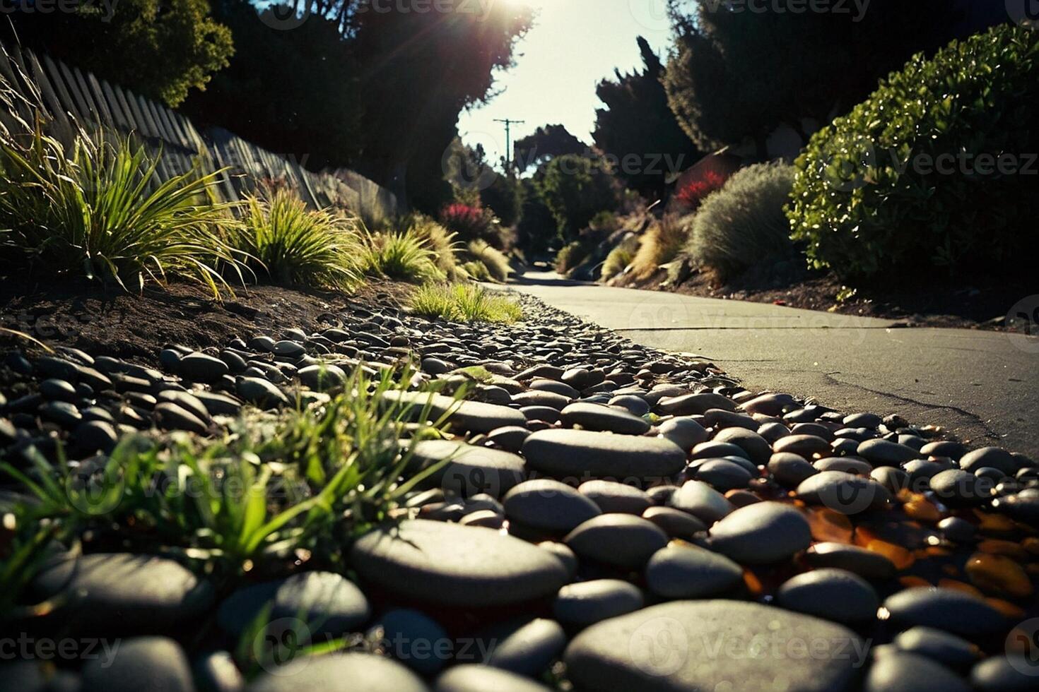 une herbeux zone avec rochers et herbe photo