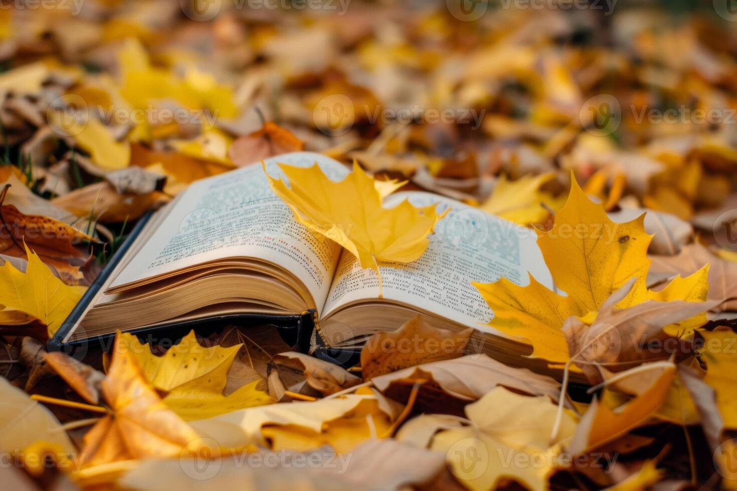 livre entouré par d'or l'automne feuilles photo