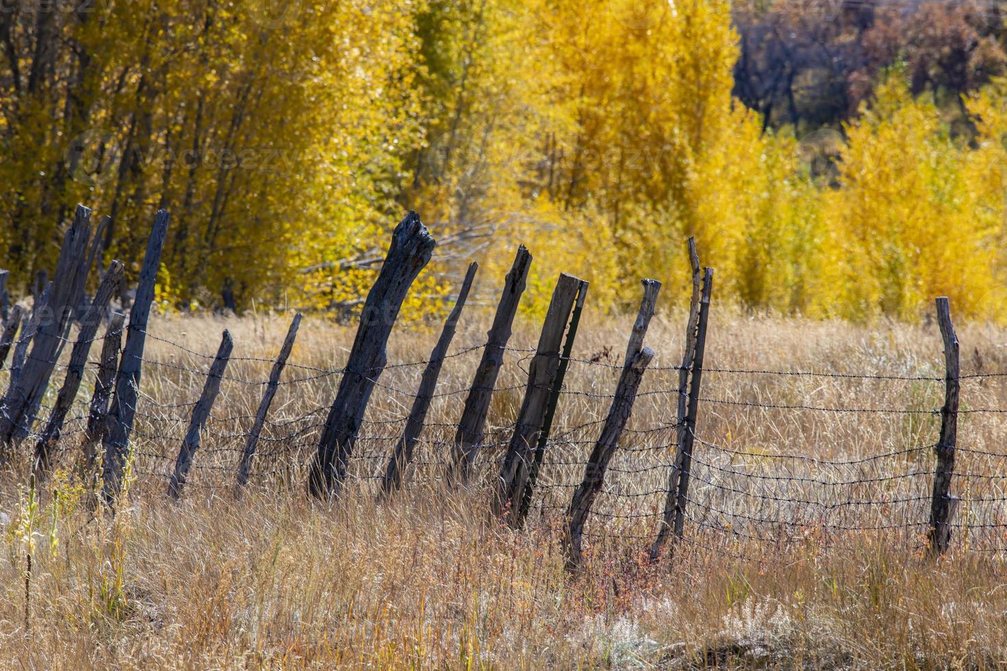 Vieille clôture près de Durango Colorado à l'automne photo