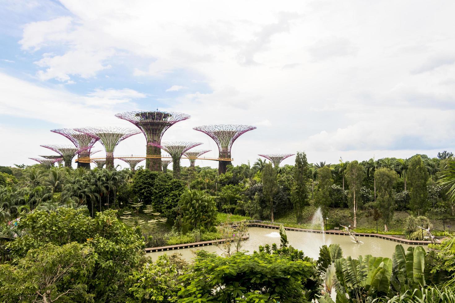 singapour, 22 juin 2018 - jardins de supertree grove photo