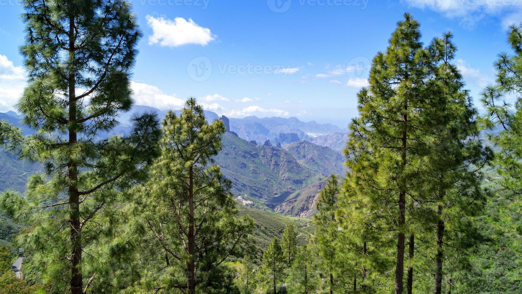 îles canaries, grande canarie, espagne photo