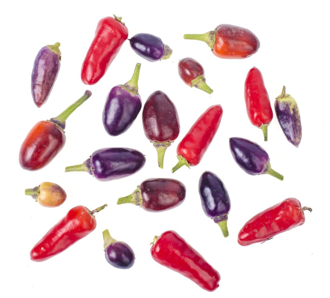 Petites gousses de piment épicées colorées et lumineuses photo