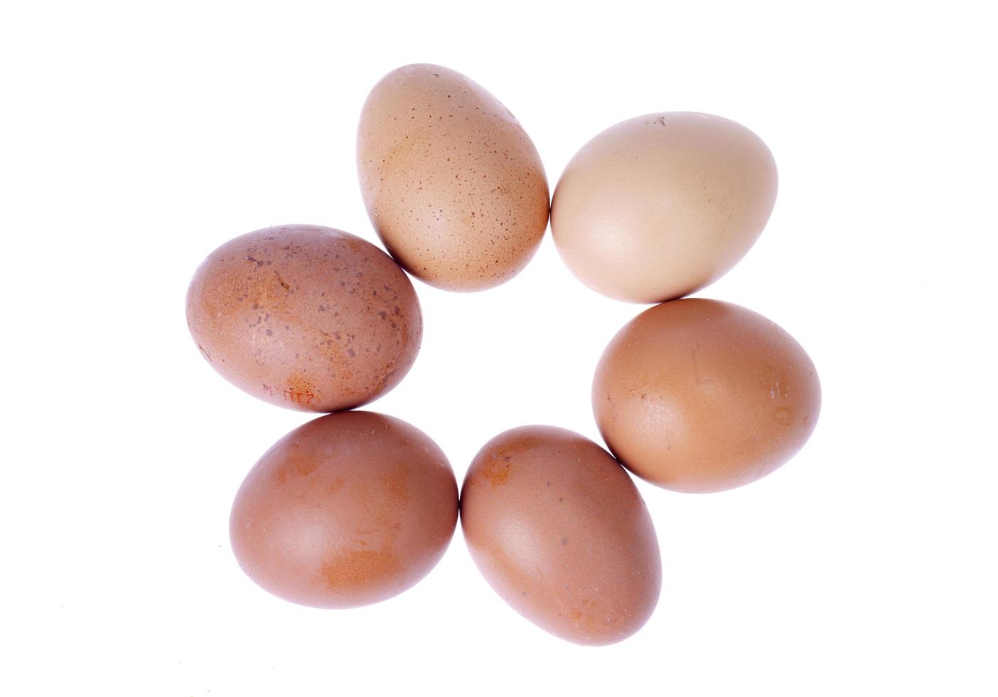 oeufs de poule fraîchement colorés avec coquille brune. studio photo